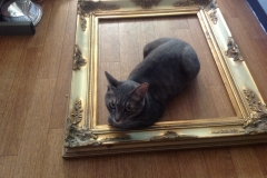 背中の感じはかわらない。